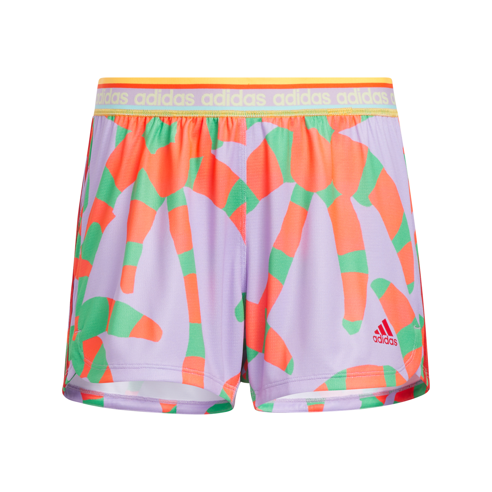 Short de damas sales